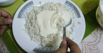 দই-ভাত কেন খাবেন