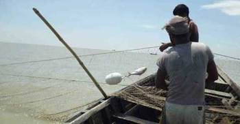 ইলিশ মাছ ধরায় ২০ জেলের দণ্ড