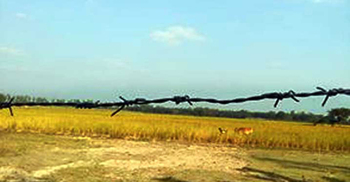 সাঁওতালদের ধান কাটার বিষয়ে সিদ্ধান্ত হলো না আজও