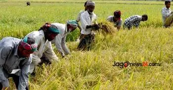 "45pc of total workforce in agriculture sector"