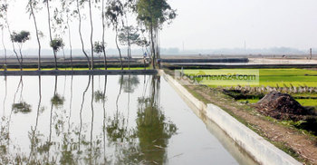 জমি খনন করে মাছচাষ, খাদ্য ঝুঁকির আশঙ্কা