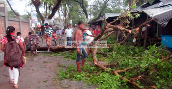 গাইবান্ধায় ঝড়ে ব্যাপক ক্ষয়ক্ষতি