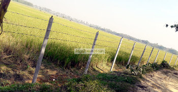 হাইকোর্টের রায়ে খুশি সাঁওতালরা