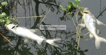 No uranium in Sunamganj haor water