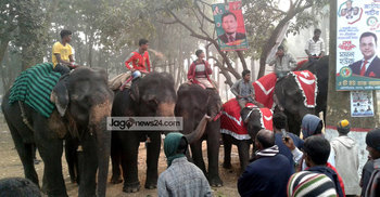জাপার মহাসমাবেশে হাতি-ঘোড়া