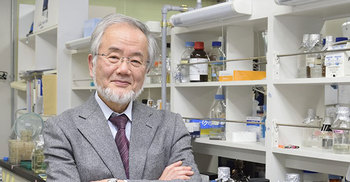 Yoshinori Ohsumi wins Nobel prize in medicine