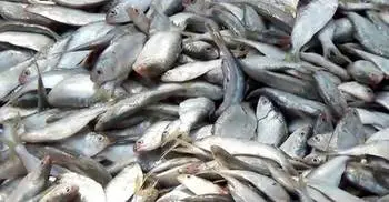 Jatka Preservation Week-2017 from March 11