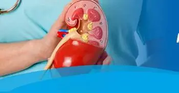 Two crore suffering from kidney disease