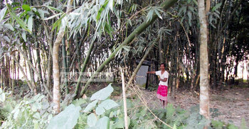 অস্তিত্বহীন প্রাথমিক বিদ্যালয়কে জাতীয়করণের সুপারিশ