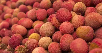 Eating this fruit on empty stomach could kill you