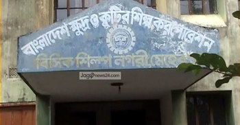 আলোর মুখ দেখছে না মেহেরপুর বিসিক শিল্পনগরী