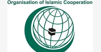 OIC calls for emergency meetings to address Rohingya crisis