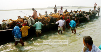 যমুনায় নৌযান চলাচলে বাড়ছে প্রতিবন্ধকতা
