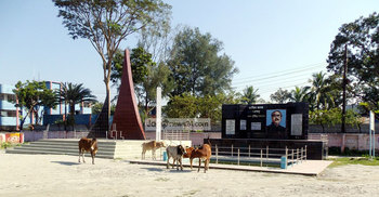 পটুয়াখালী মুক্ত দিবস আজ