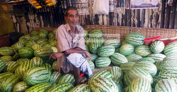 ভালো দাম পাওয়ায় সন্তুষ্ট তরমুজ চাষিরা
