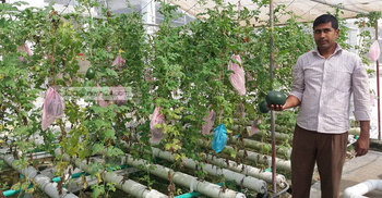 পটুয়াখালীতে হাইড্রোপনিক পদ্ধতিতে চাষবাদ