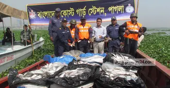 যাত্রীবাহী লঞ্চ থেকে ১৭০০ কেজি জাটকা জব্দ