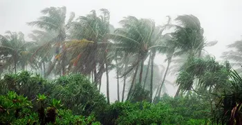 Rainfall may continue all day-long, signal 3 for maritime ports