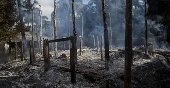 Burmese government is ‘renewing attacks on Rohingya Muslims’