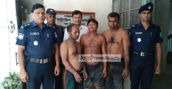 ঘাটাইলে চোরাই গরুসহ আটক ৩