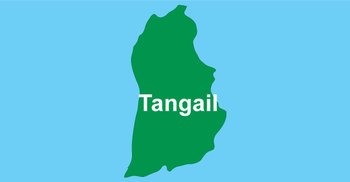 4 dead after truck overturns in Tangail