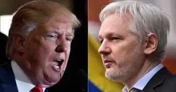 Trump backs Julian Assange over Russia hacking claim