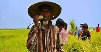 Farmers deposit Tk 223 crore