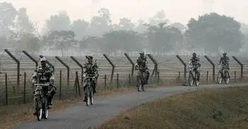 107 head of cattle seized on India-Bangladesh border 