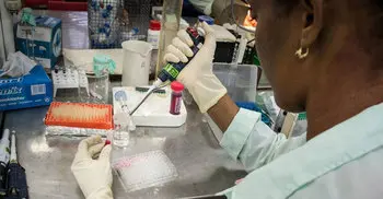 Malaria proteins can attack cancer: Study