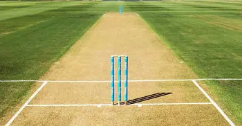 Angry batsman hurls stump, kills teen