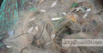 মনপুরায় ৪০ মণ ইলিশসহ দুই জেলে আটক 