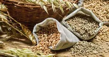 Whole Grains, Fruits and Veggies May Prevent Diabetes Risk