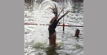 Kolkata researchers use human hair to produce cathodes 