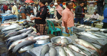 নিজেদের মাছের বাজার ধরতে ‘ফরমালিন ষড়যন্ত্র’