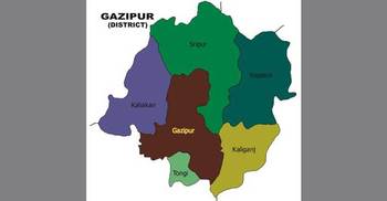 2 brothers die after inhaling toxic gas in Gazipur