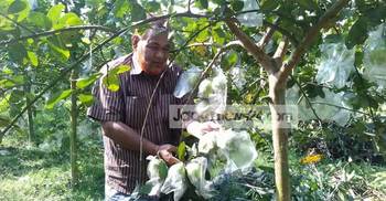 নেশার পেয়ারা বাগানে সফল নুরুল হক