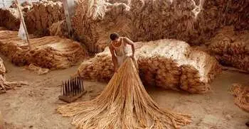 Govt plans to produce jute-made polythene bag soon