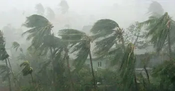 Met office forecasts rain or thunder showers 