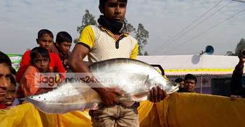 লালমনিরহাটে জমে উঠেছে মাছ ও পিঠা মেলা