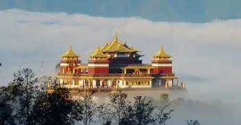 Nepal arrests 37 Bangladeshi for illegal entry