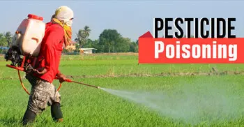 2 lakh people die each year from pesticide poisoning: UN  