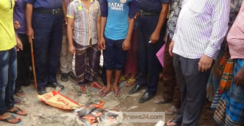 পটুয়াখালীতে পিরানহা মাছ বিক্রির দায়ে দুই ব্যবসায়ীর জরিমানা
