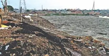 Govt to stop pollution of Halda river, Savar tannery estate