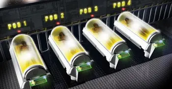 Terminally ill British girl wins historic ruling to preserve body