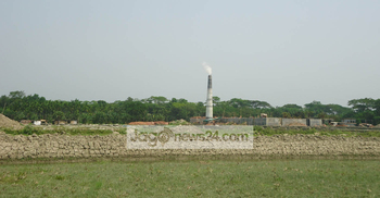 রাজাপুরে সরকারি সম্পত্তি দখল করে ইটভাটা