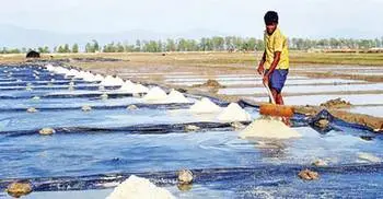 Govt to protect interest of salt farmers: Tofail