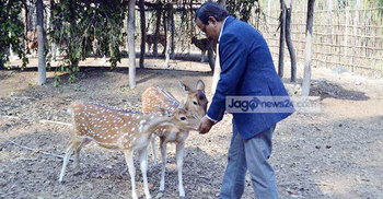 সুন্দরবনে ‘ইত্যাদি’র শুটিং