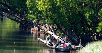 সুন্দরবনে কারেন্ট জাল ও গরান কাঠ জব্দ