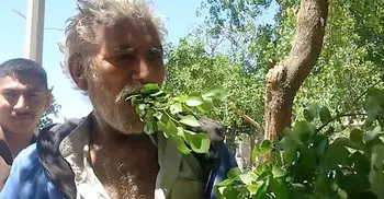 Pakistani man is addicted to eating trees