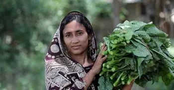Vegetable production rises by 32% in six years